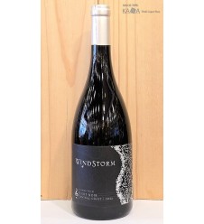 윈드스톰 피노누아2022