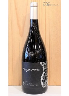 윈드스톰 피노누아2022